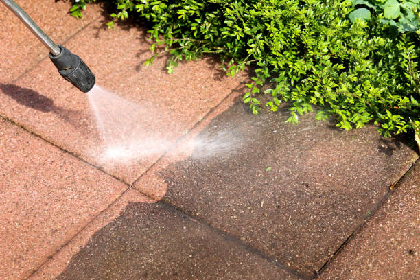 Best Pressure Washing Near Me  in Vaughn, WA